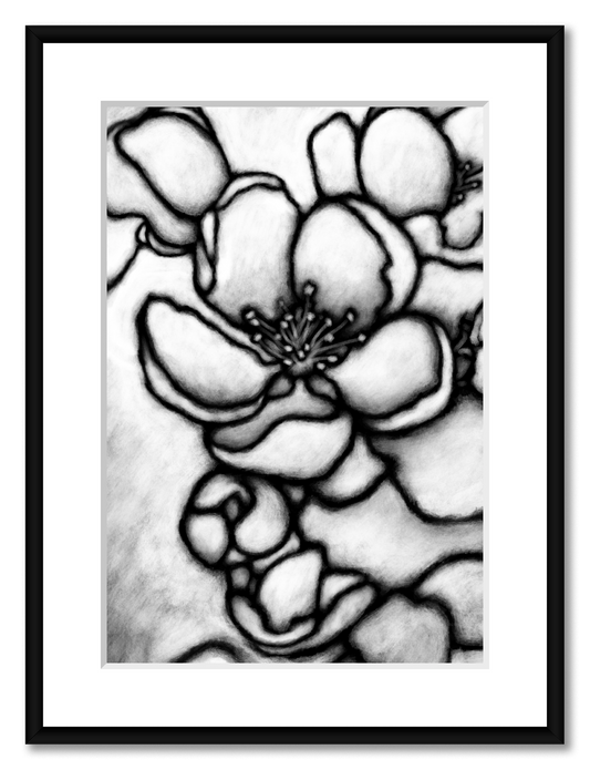 Garden Path Nr. 01