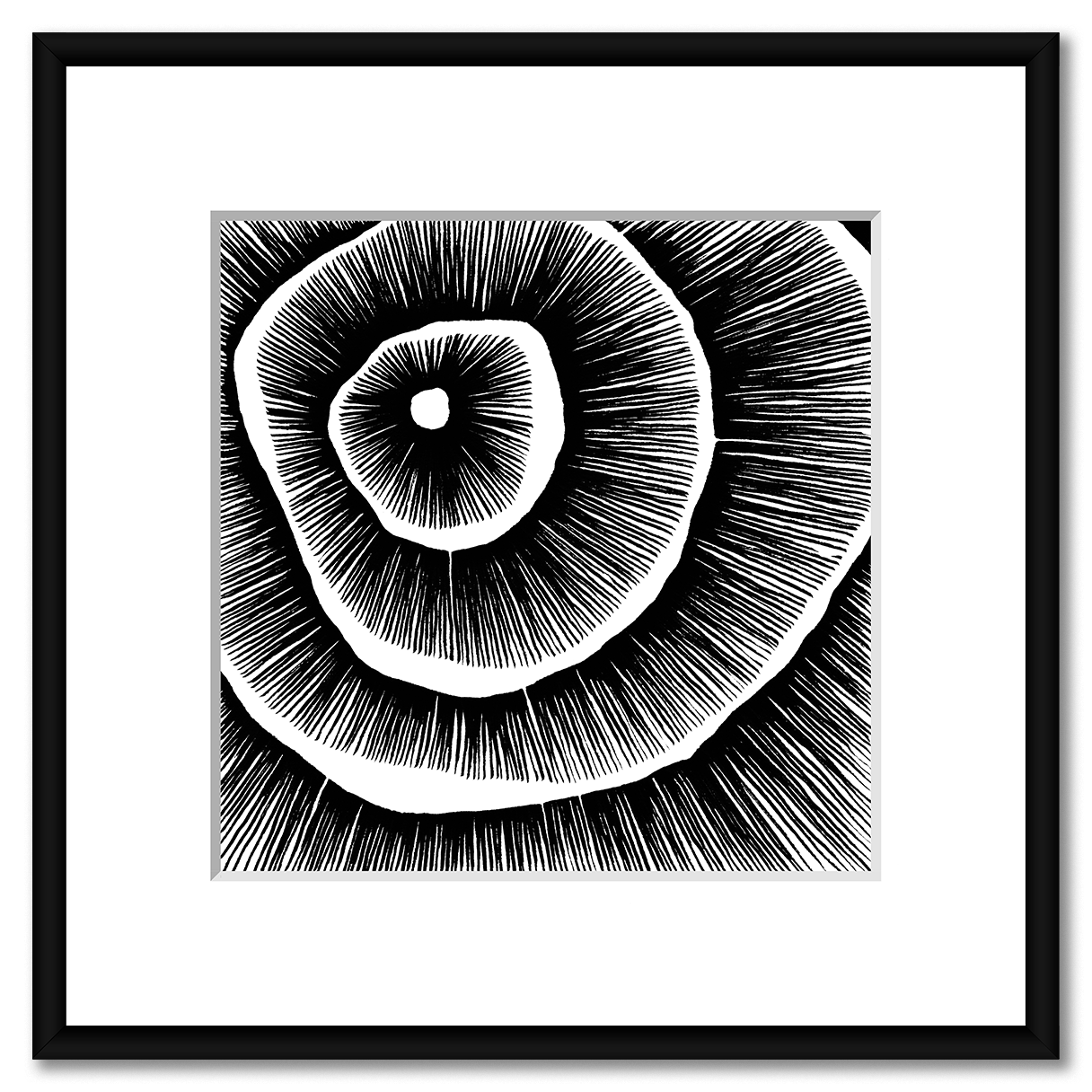 Living Lines Nr. 13