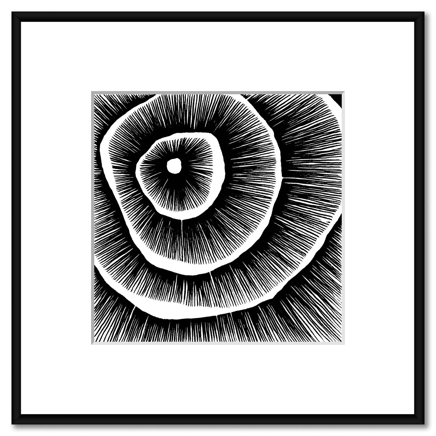 Living Lines Nr. 13