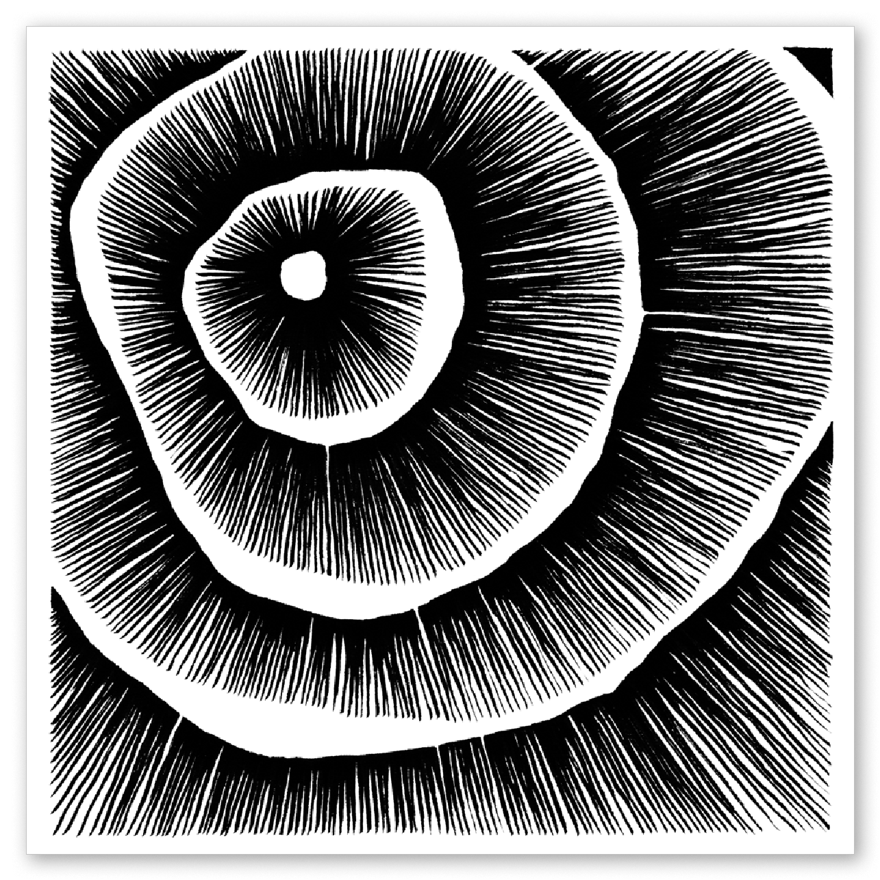 Living Lines Nr. 13