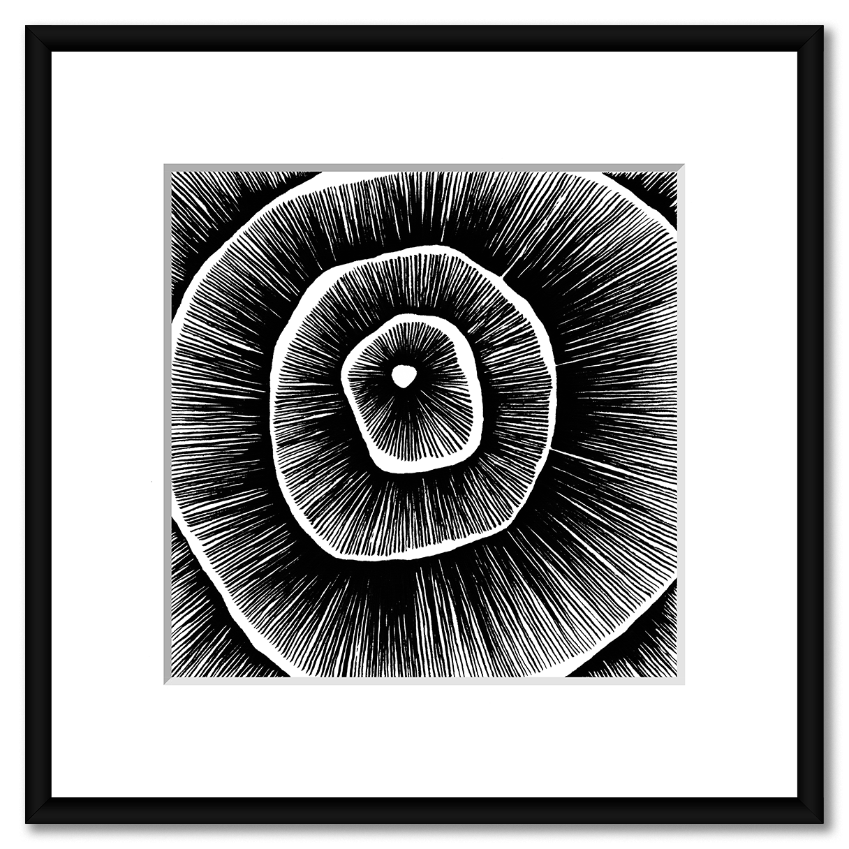 Living Lines Nr. 14