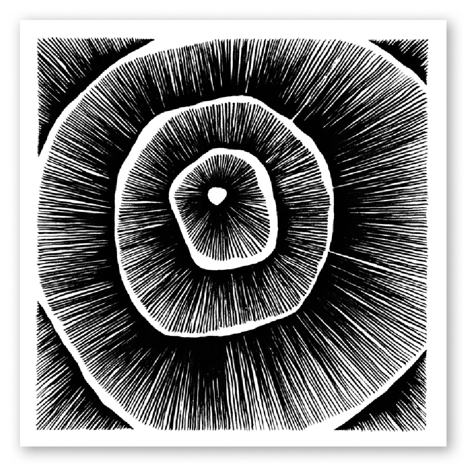 Living Lines Nr. 14