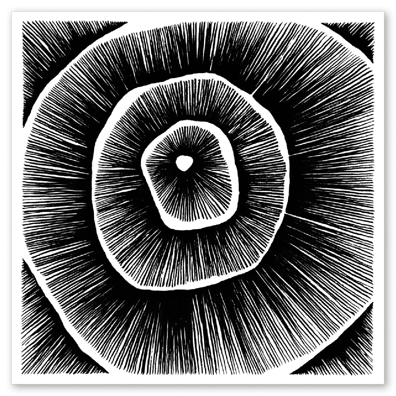 Living Lines Nr. 14