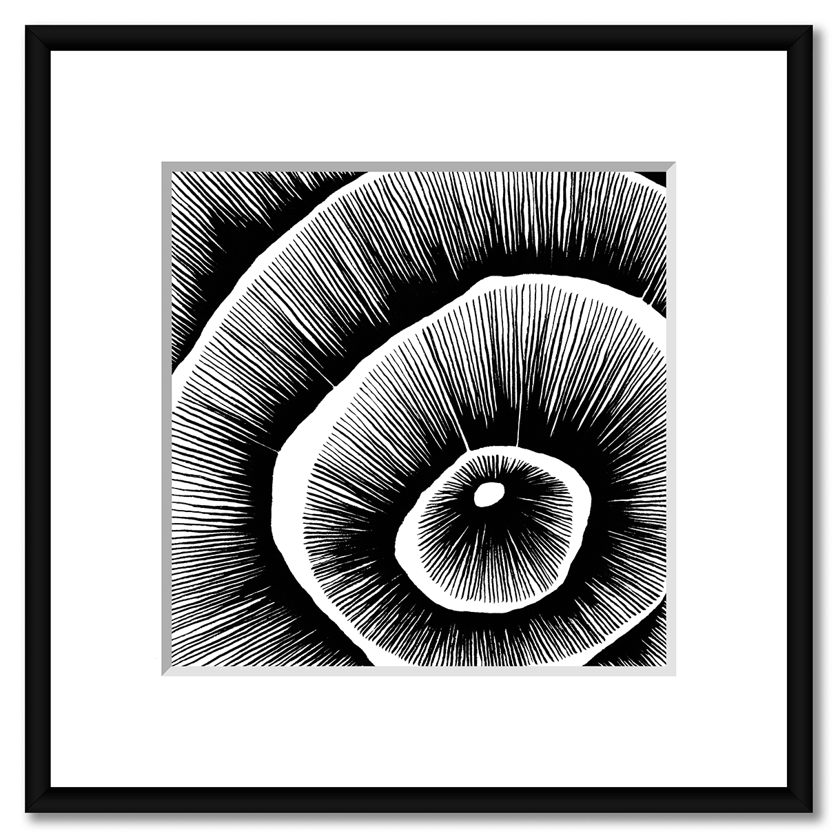 Living Lines Nr. 15