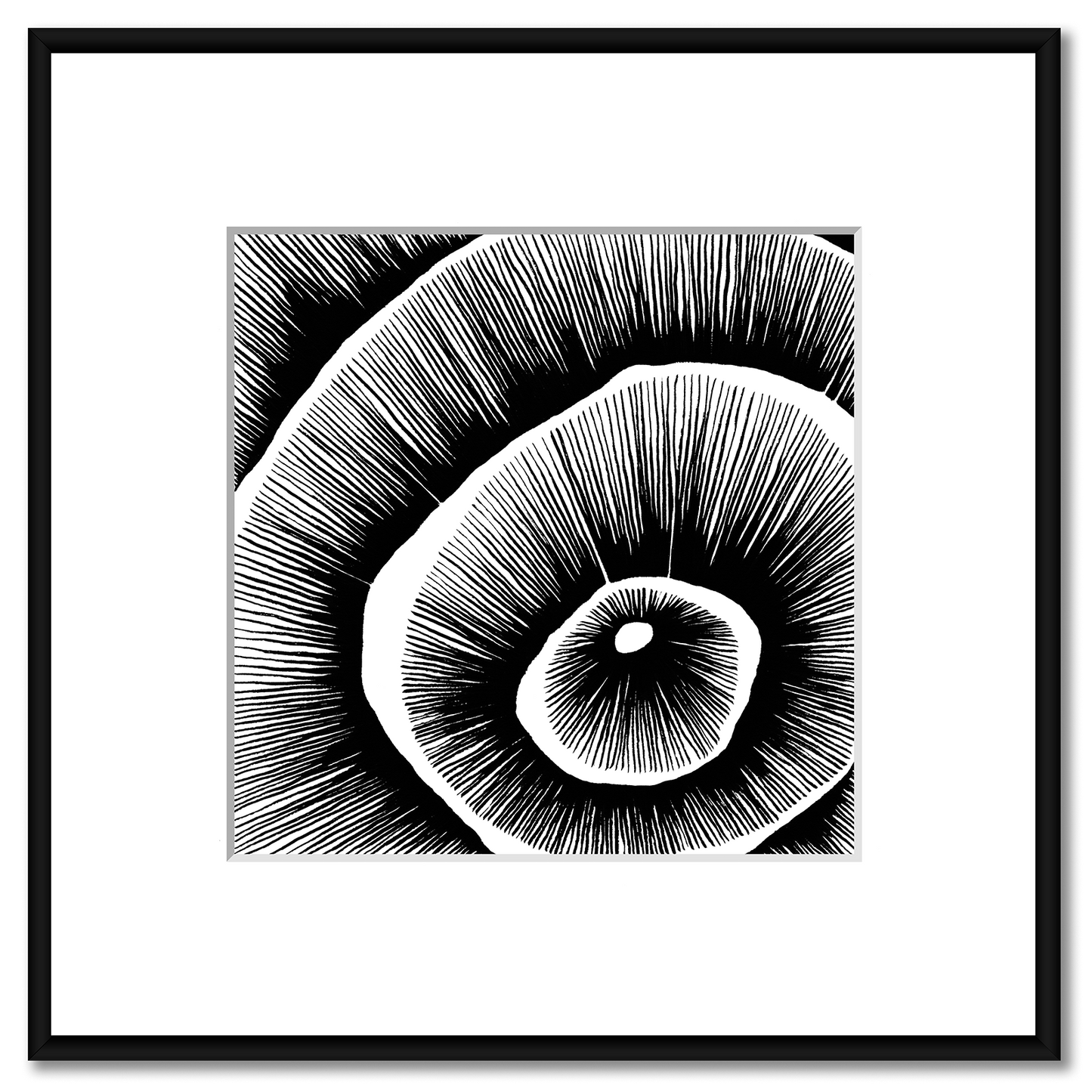 Living Lines Nr. 15