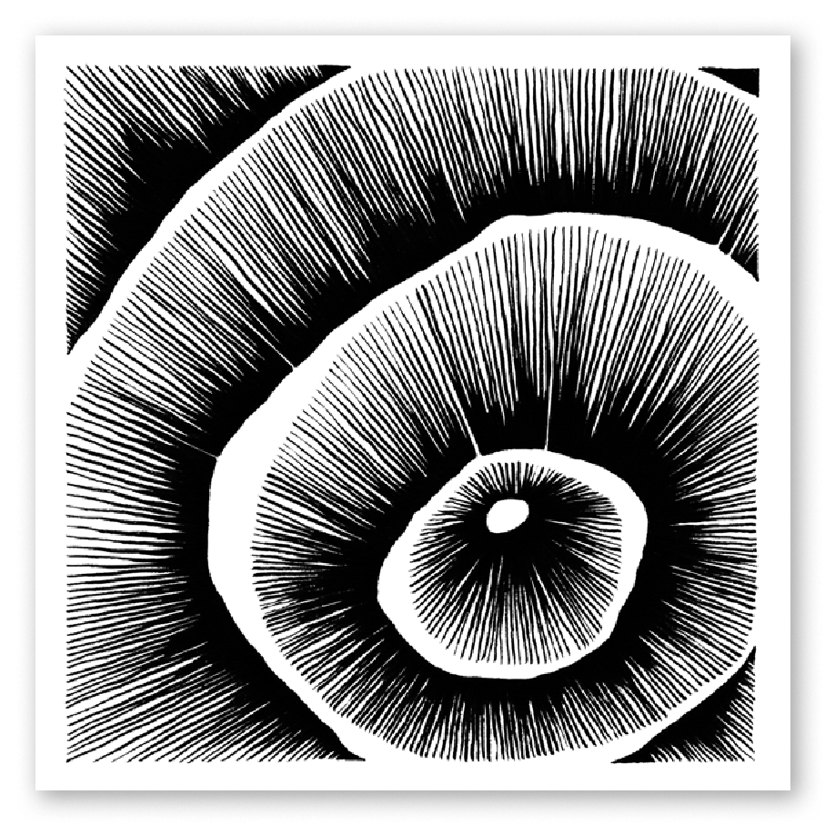 Living Lines Nr. 15