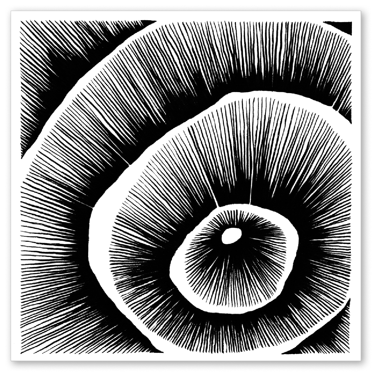 Living Lines Nr. 15