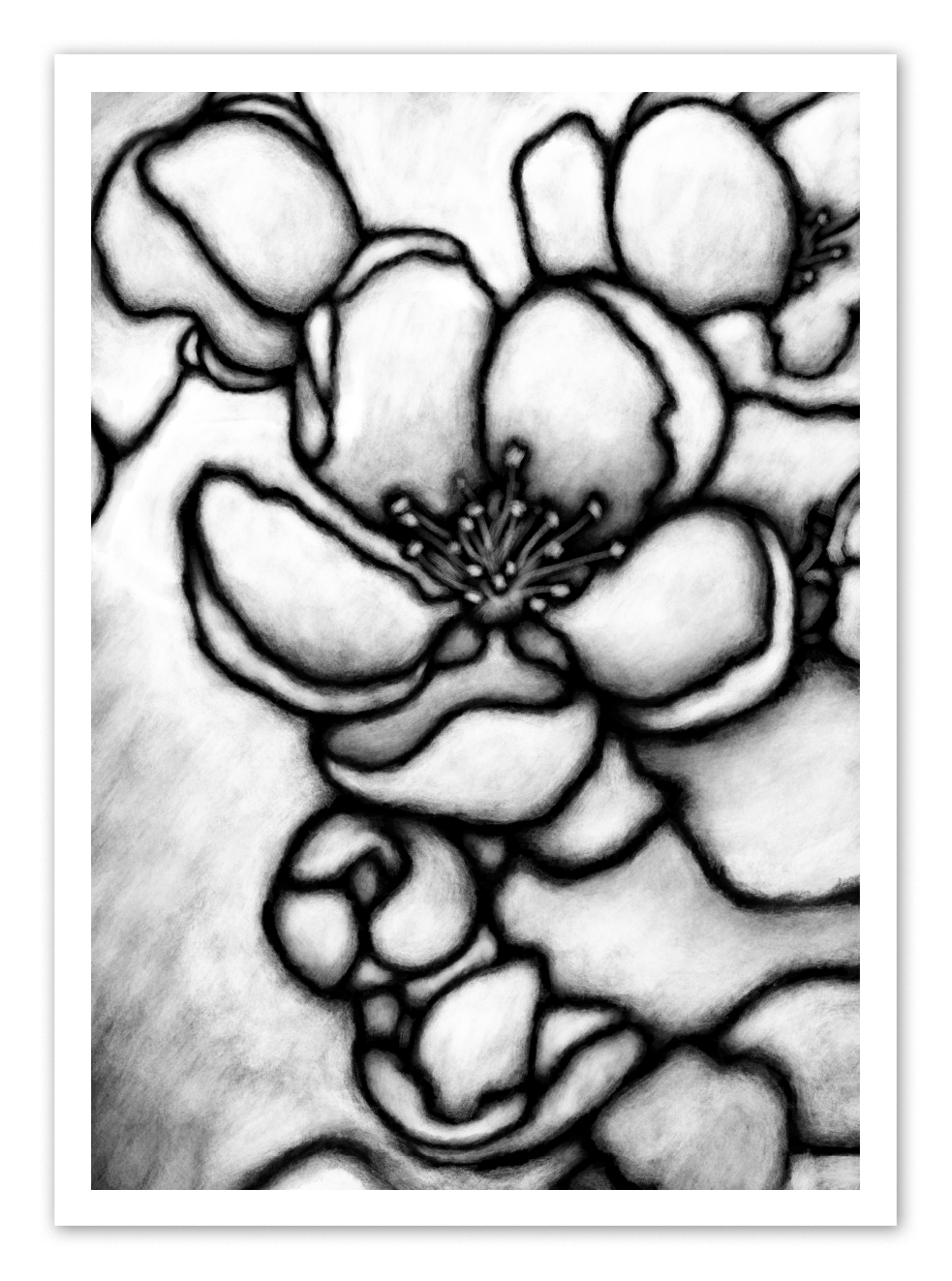 Garden Path Nr. 01