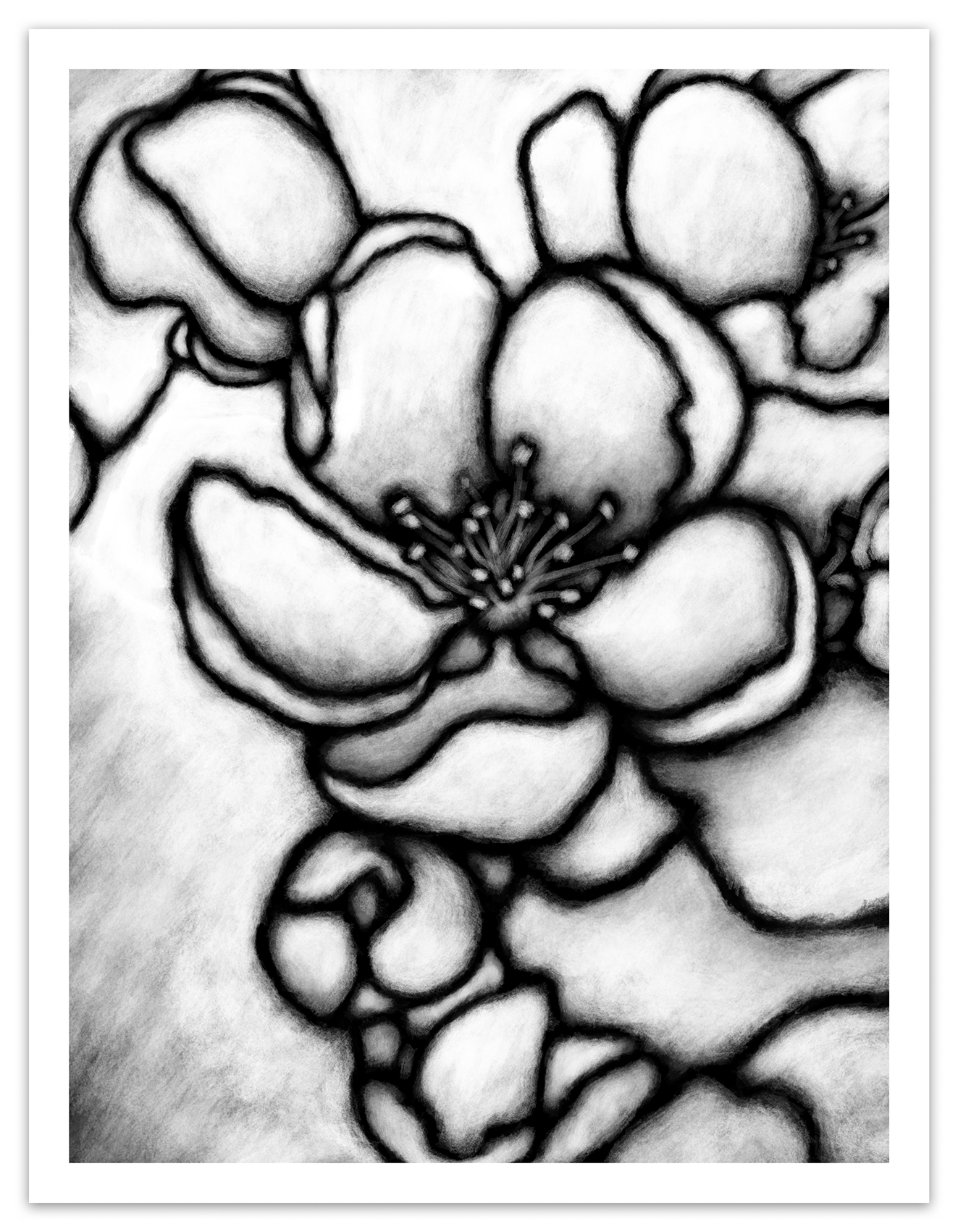 Garden Path Nr. 01